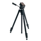 ������ �����
