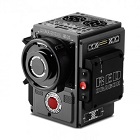  Red    Scarlet-W  $9 950.